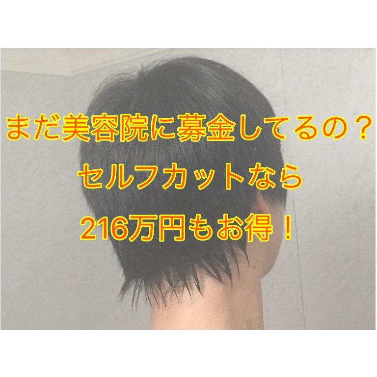 216万円も得 メンズセルフカット 歴8年 しょーてぃブログ