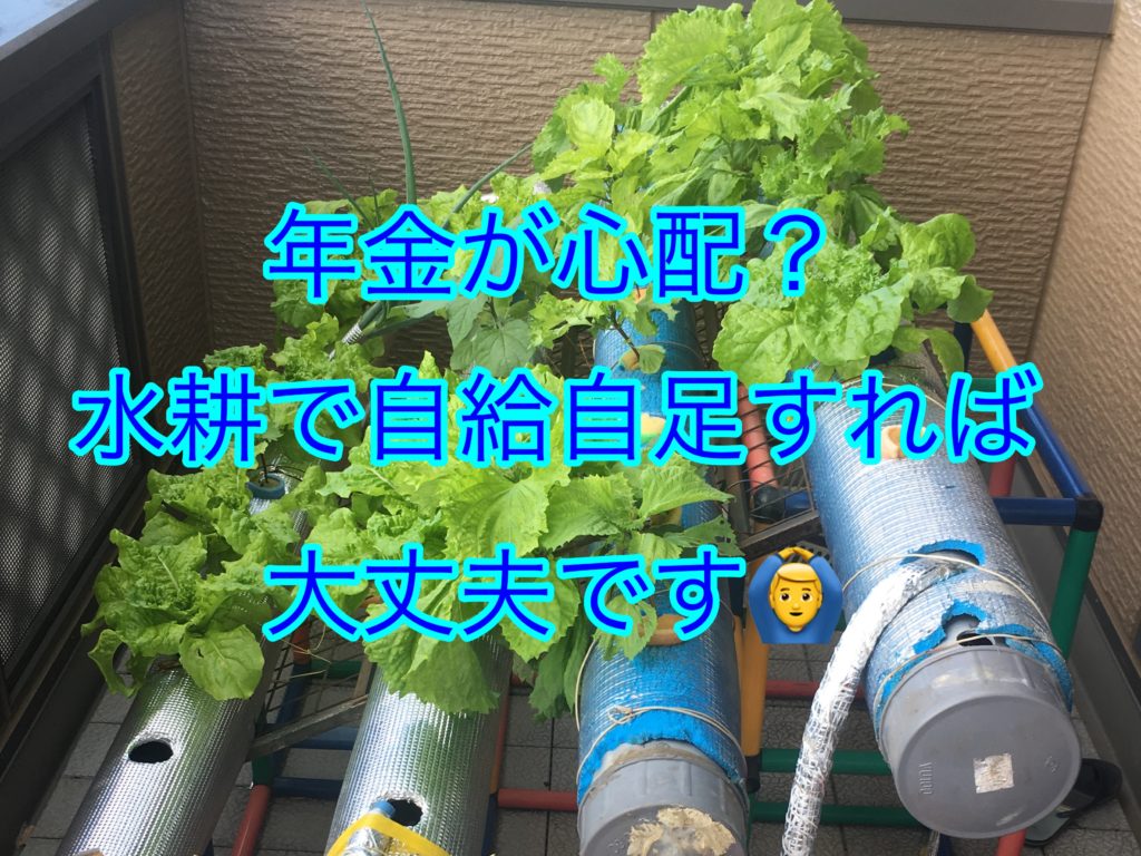 水耕栽培の装置