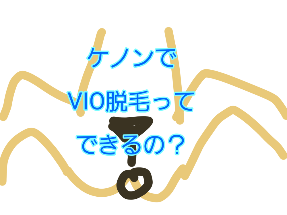 Vio ケノン ブログ 【画像あり4回目】ケノンのVIO脱毛効果が凄すぎて逆に心配なこと