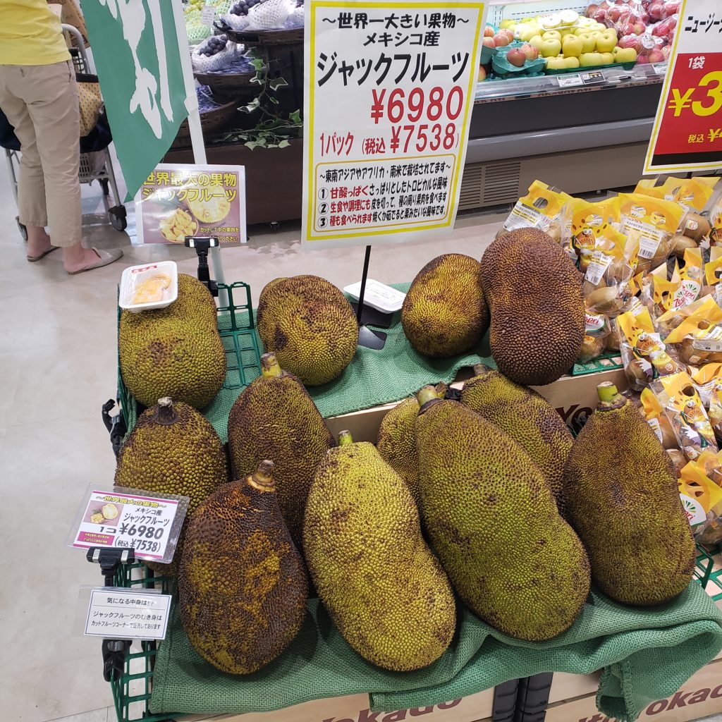 ジャックフルーツ姿
