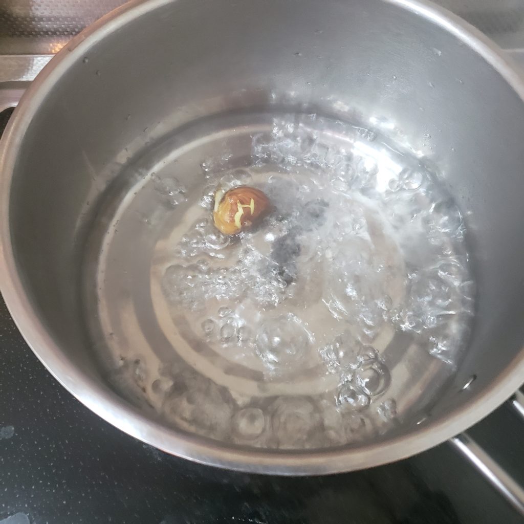 茹でジャックフルーツ