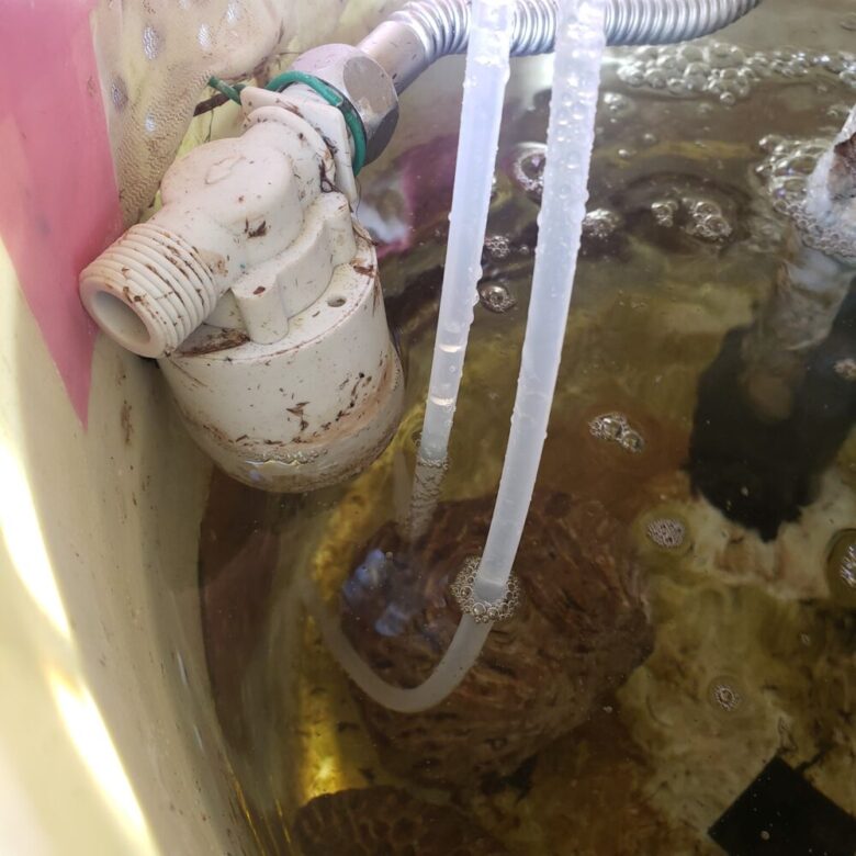 水耕栽培で液肥濃度を自動化する方法 制御装置を買いました しょーてぃブログ